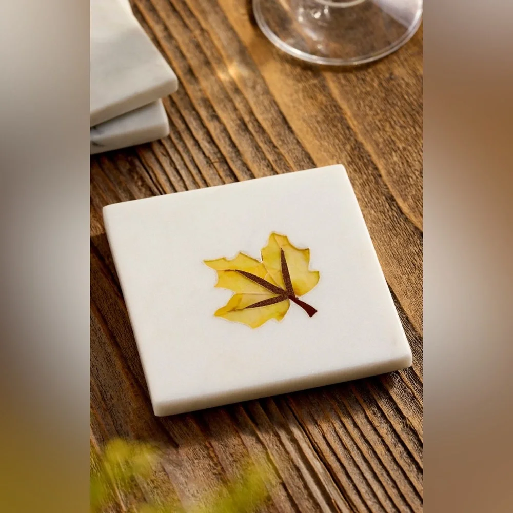 Anthropologie Terrain Fall Icon Marble Coasters, Set of 4 NEW